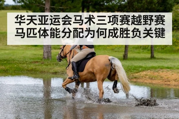 horse endurance cross country riding